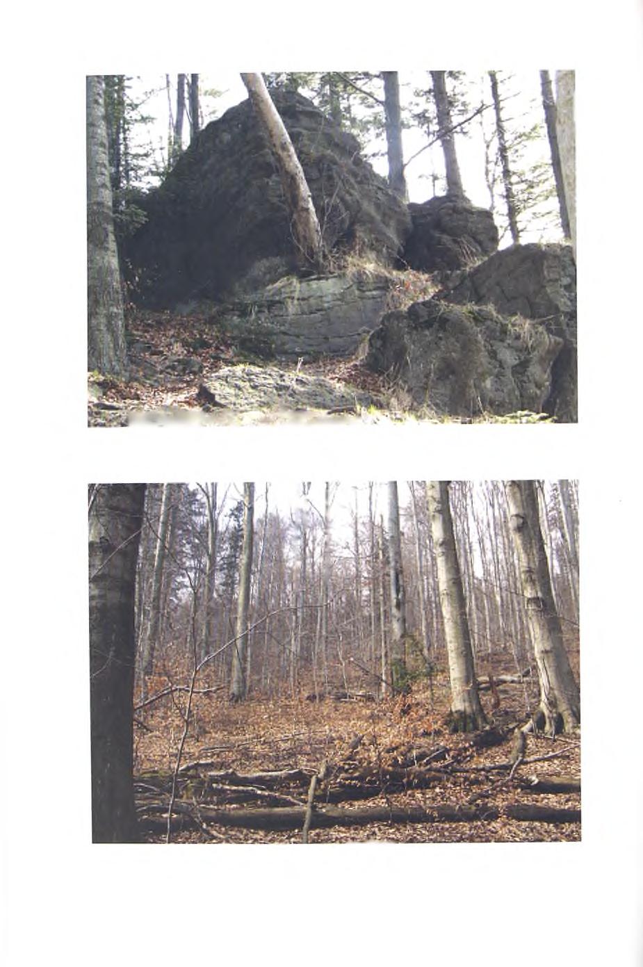 W HM KmSi* ahsehiwmmi Fig. 3.