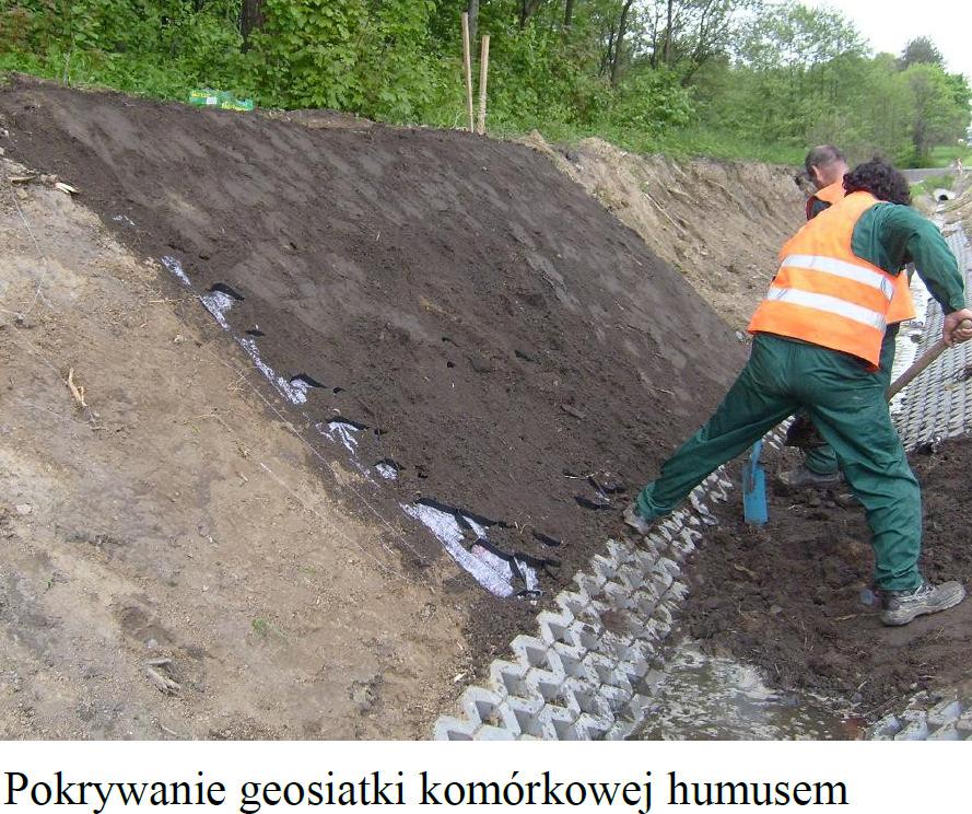Na rozłożone sekcje geosiatki należy wysypać i równomiernie rozłożyć humus warstwą o grubości przewyższającej o ok.