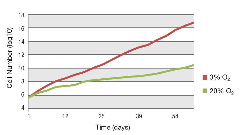 Dodatkowa elastyczność hodowli dzięki regulacji tlenu Wiele typów komórek najlepiej rozwija się w inkubatorach CO 2 o ograniczonej ilości tlenu.