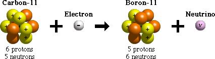 węgiel 14 p n + b+ + ne 6 protonów 4 neutronów 5