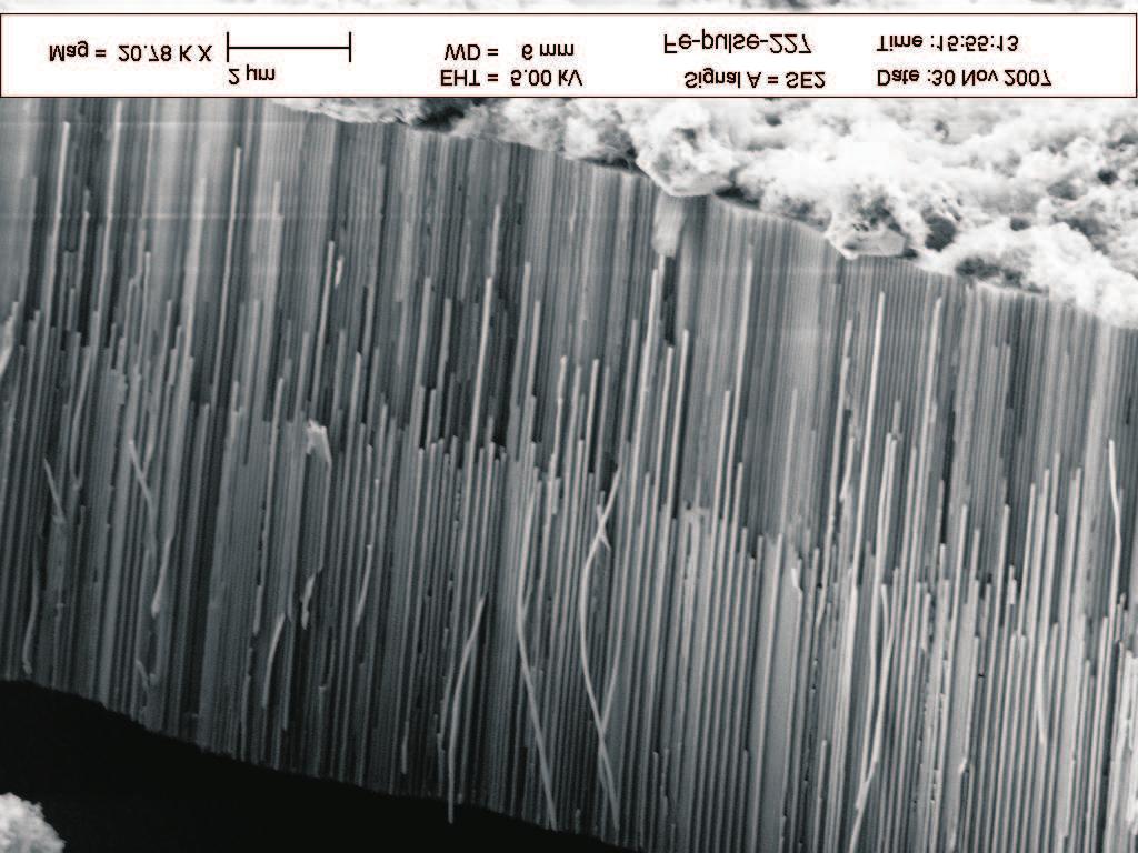 1132 Cu Fe Al 2 O 3 Fe(OH) 2 Fig. 16. SEM images of template after Co electrodeposition using reversing (PRC) current: E K = -1.2 V(vs.SCE), t K =140 ms; E A = -0.350 V(vs.