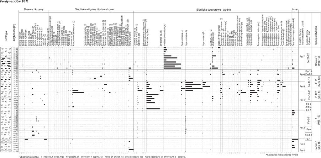 18 IRENA AGNIESZKA PIDEK, RENATA STAChOWICZ-RYBKA, MARCIN ŻARSKI Ryc. 4. Procentowy diagram makroszczątków roślinnych z profilu Ferdynandów 2011.