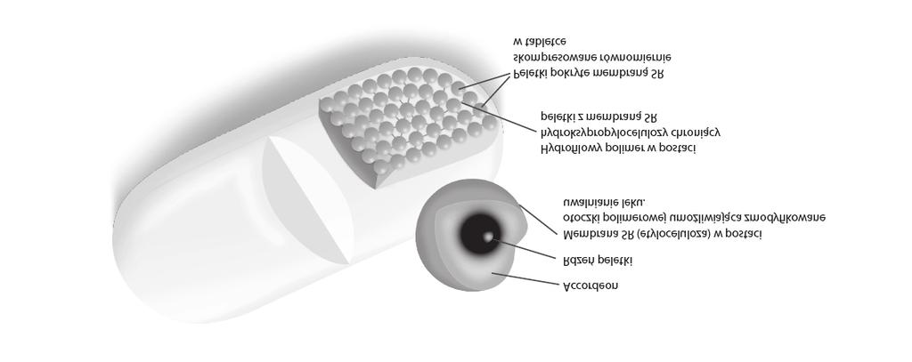 Rycina 1. Budowa systemu MUPS w preparacie Accordeon Ò [12] Figure 1. The structure of multiple unit pellet system used in Accordeon Ò [12] Rycina 2.