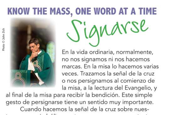 Anuncios Parroquiales 18 de Noviembre de 2012 Domingo XXXIII del Tiempo Ordinario En aquel tiempo, dijo Jesús a sus discípulos: En aquellos días, después de una gran tribulación, el sol se hará