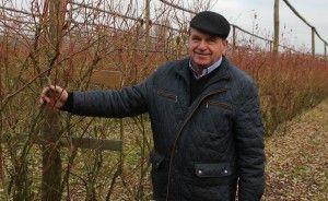 https://www. skierowane w zakup lub dzierżawę upadających PGR-ów. W pewnym momencie rodzina Wilczewskich posiadała areał liczący 2000 ha!