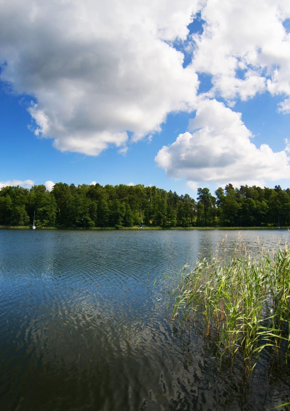 Dlaczego Mazury?