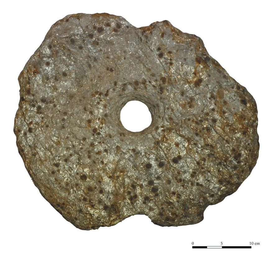 Włostowa, pow. nyski. Kamień żarnowy, na powierzchni widoczne duże zwietrzałe kryształy granatów (fot. E. Lisowska) Fig.