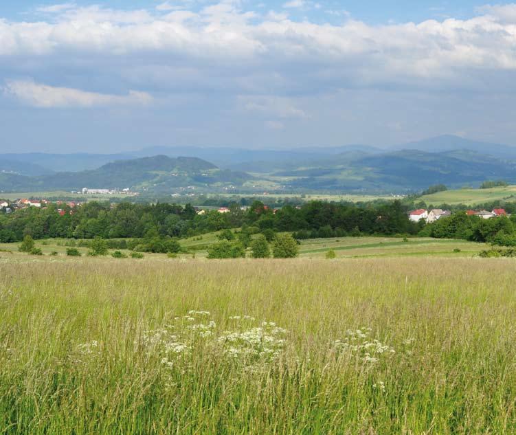 Natura 2000 w Karpatach KOŚCIÓŁ w