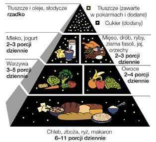 Piramida zdrowia Różne pokarmy zawierają różne składniki pokarmowe i ważne dla zdrowia substancje.