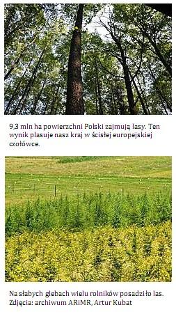 Pomoc na zalesianie tekst z ARiMR: http://www.arimr.gov.pl/aktualnosci/artykuly/od-1-czerwcaarimr-zacznie-przyjmowac-wnioski-od-rolnikow-ktorzy-chca-na-swoich-gruntach-posadz.