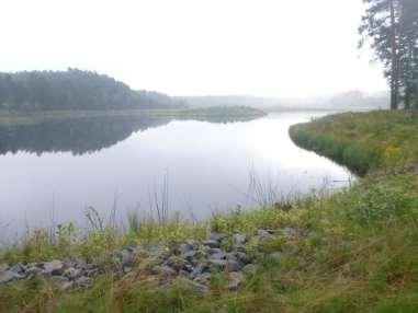 Zbiorniki a) Typ - Naturalne -