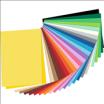 2 ZEST. # papier rysunkowy biały A4-500 szt., 80 g/m2 # papier rysunkowy kolorowy A4-400 szt., 80 g/m2 # papier kolorowy wycinankowy nabłyszczany A3-100 szt.