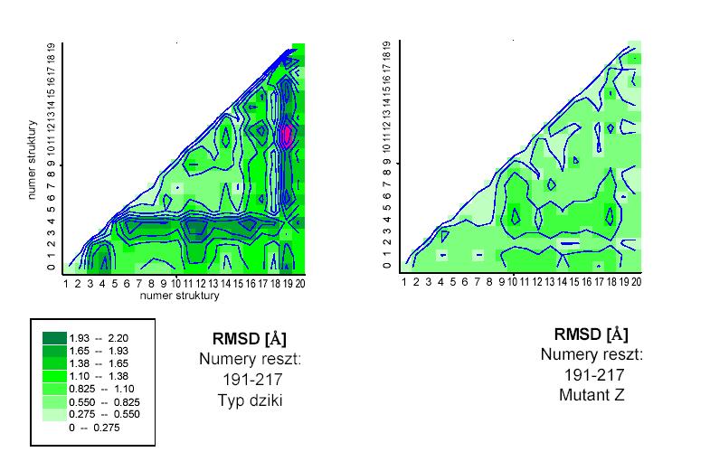 Wyniki symulowanego wyżarzania, kryterium RMSD Różnice wartości parametru RMSD pokazuje macierz rozbieżności (reprezentacja barwna) RMSD obliczone dla fragmentów 20 struktur uzyskanych w trakcie