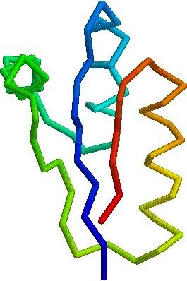 Protein folding DNA -CUA-AAA-GAA-GGU-GUU-AGC-AAG-GUU- protein sequence -L-K-E-G-V-S-K-D- one amino acid unfolded protein spontaneous self-organisation (~1 second) native state