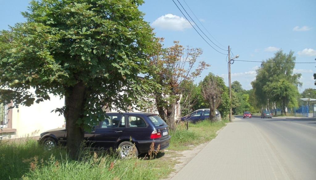 3. Bukowno - ul. Kolejowa - szpaler kasztanowców start:50.27898, 19.46978, koc:50.27808, 19.46999 droga powiatowa 70 m asfalt co 7 m 8m 5m kasztanowce zwyczajne- 8 szt.