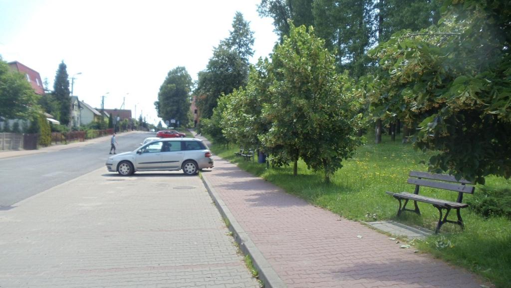9. Bukowno - ul. Nowa - szpaler lip szerokolistnych start:50.26962, 19.45556, koc:50.26962, 19.45461 droga gminna 65m asfalt co 3 m 9m 6m Lipa szerokolistna 25 szt.
