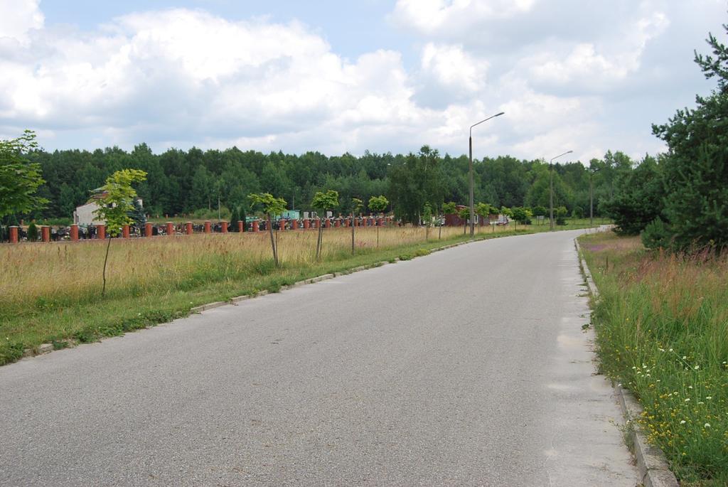 12. Bukowno - ul. Wapienna, przy cmentarzu komunalnym - szpaler klonów start:50.27407, 19.444658, koc:50.27402, 19.