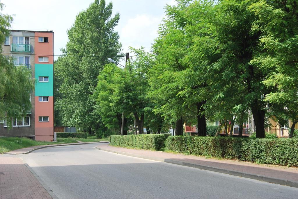 13. Bukowno - ul. Wyzwolenia - szpaler z robinii start:50.26872, 19.4575, koc:50.26840, 19.4582 droga gminna 65 m asfalt co 4 m 5m 2,5 m robi - 11 szt.