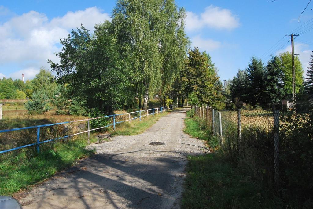14. Bukowno - ul. Olchowa, szpaler brzozowy start:50.26663, 19.48246, koc:50.26749, 19.