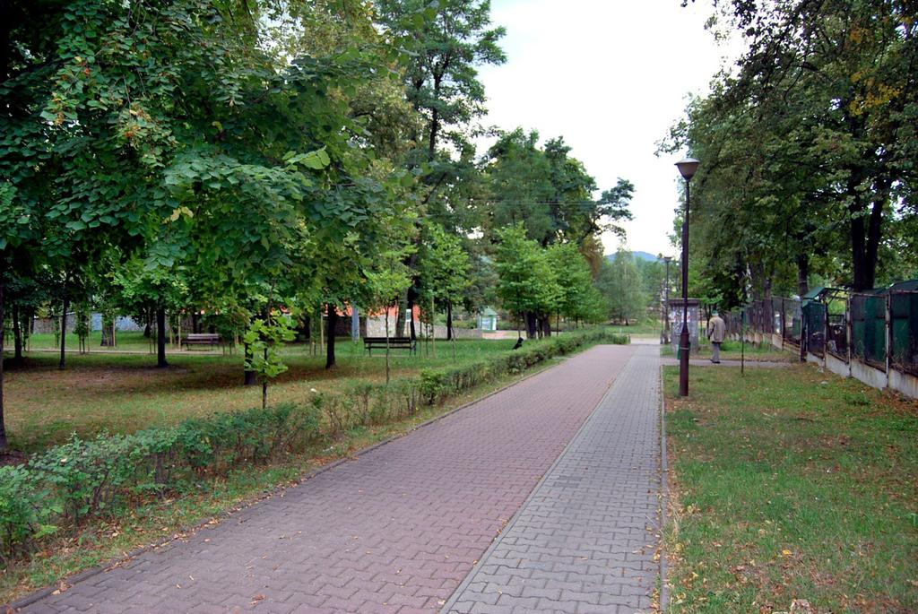 16. Bukowno - alejka spacerowa wzdłuż parku - platany start:50.26544, 19.46135, koc:50.26485, 19.46137 droga gminna 70m kostka betonowa 5m 3.5m 2m 13szt.