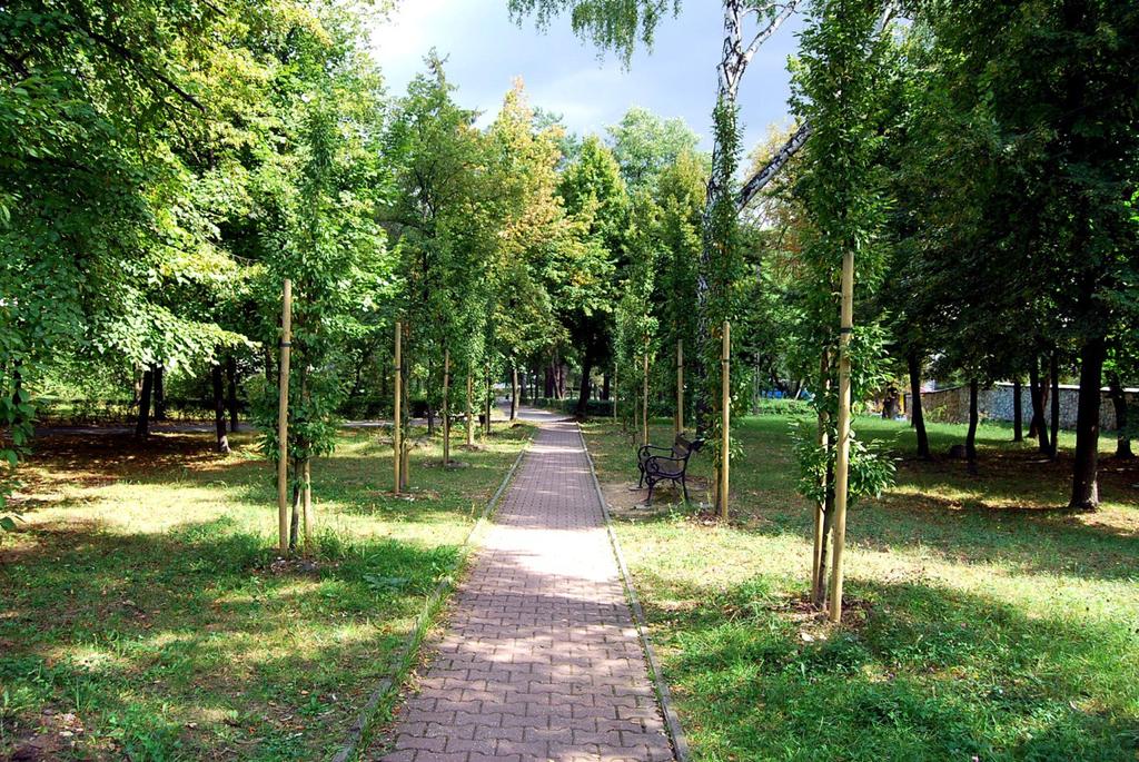 17. Bukowno - alejka przy targu - graby kolumnowe start:50.26537, 19.46145, koc:50.26539, 19.46201 droga gminna 35m kostka betonowa 5m 1.5m 1m Nie 15 sztuk grab kolumnowy 14-16cm 0.