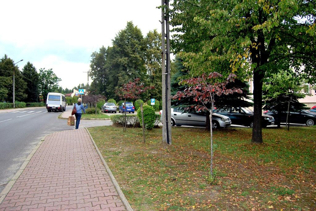 20. Bukowno - ul. Kolejowa, szpaler jabłonek start:50.26734, 19.46293, koc:50.26672, 19.