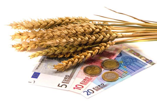 PIERWSZY HEKTAR 25 proc. koperty II filaru WPR na lata 2015 2020, tj. 2,34 mld euro, zwiększy pierwotną pulę płatności bezpośrednich do 23,49 mld euro. Środki te zostaną w większości (73 proc.