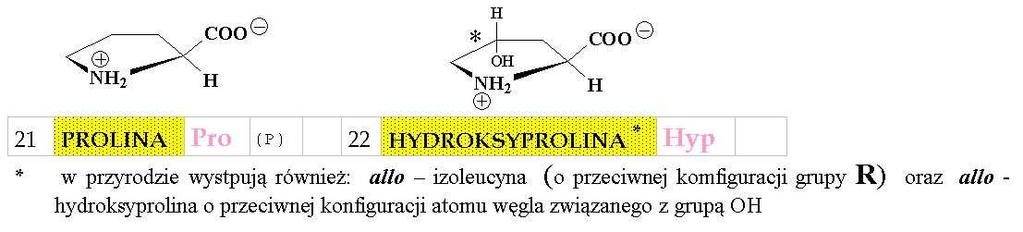 minokwasy WŁSNŚI EMIZNE - 10 wiązanie PEPTYDWE N + N N N 1 1 DIPEPTYD Przeprowadzenie takiej reakcji wymaga specjalnej procedury (powyższe aminokwasy mogłyby też reagować w odwrotnym porządku a także