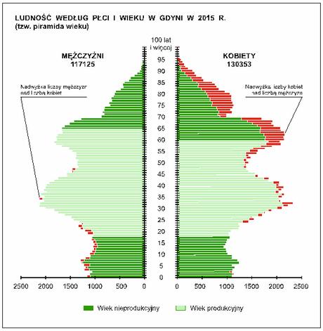 1.2. Struktura płci W strukturze płci dominują kobiety, w końcu 2015 r. stanowiły one 52,7% populacji miasta. Na 100 mężczyzn przypadało w dalszym ciągu 111 kobiet.