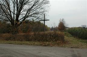 nieopodal rzeki Wkry, na skrzyżowaniu dróg do wsi Goszczyce Poświetne i Goszczyce Średnie stoi drewniany przydrożny krzyż.