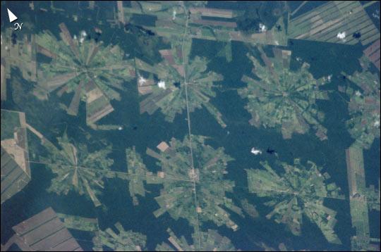 Las deszczowy - Amazonia: