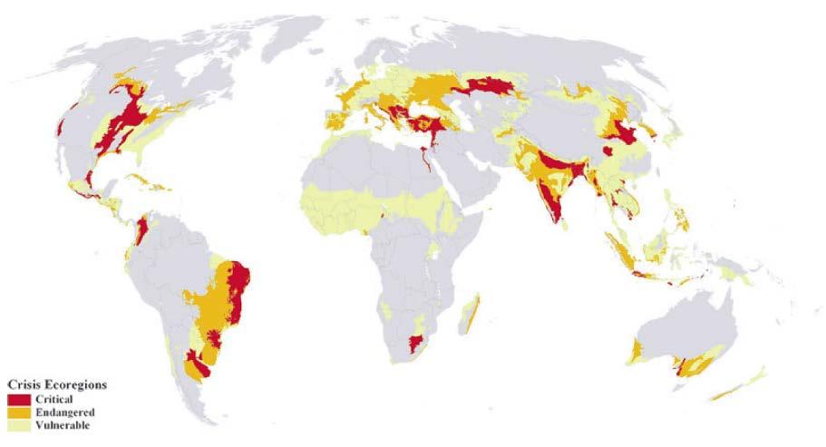MAPA EKOREGIONÓW WRAŻLIWYCH (vulnerable), ZAGROŻONYCH
