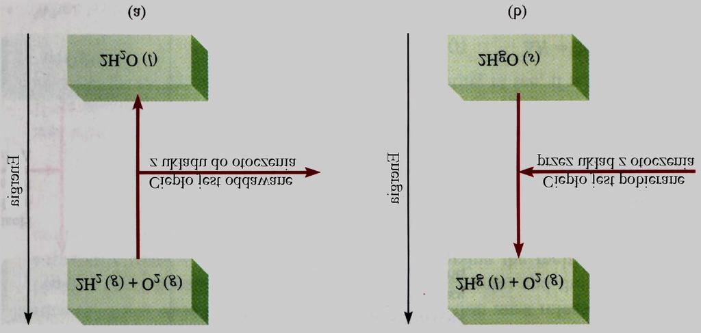 (a) Proces egzotermiczny H >0