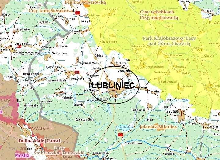 Dookoła Lublińca rozciągają się Lasy Lublinieckie należące do