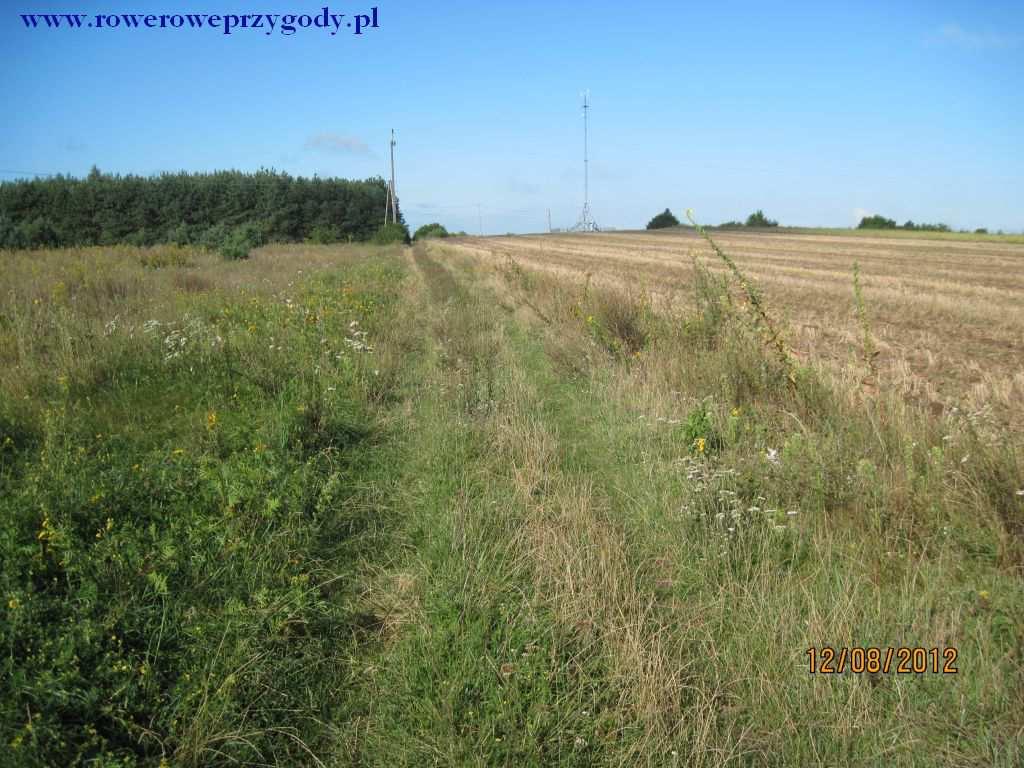 Wycieczkę rozpoczynamy tuż przed Korczewem, jadąc od strony Knychówka, gdzie skręcamy w lewą stronę, tuż przed głównymi budynkami Korczewa, w drogę wybitą lekkim brukiem (przy szarym budynku,
