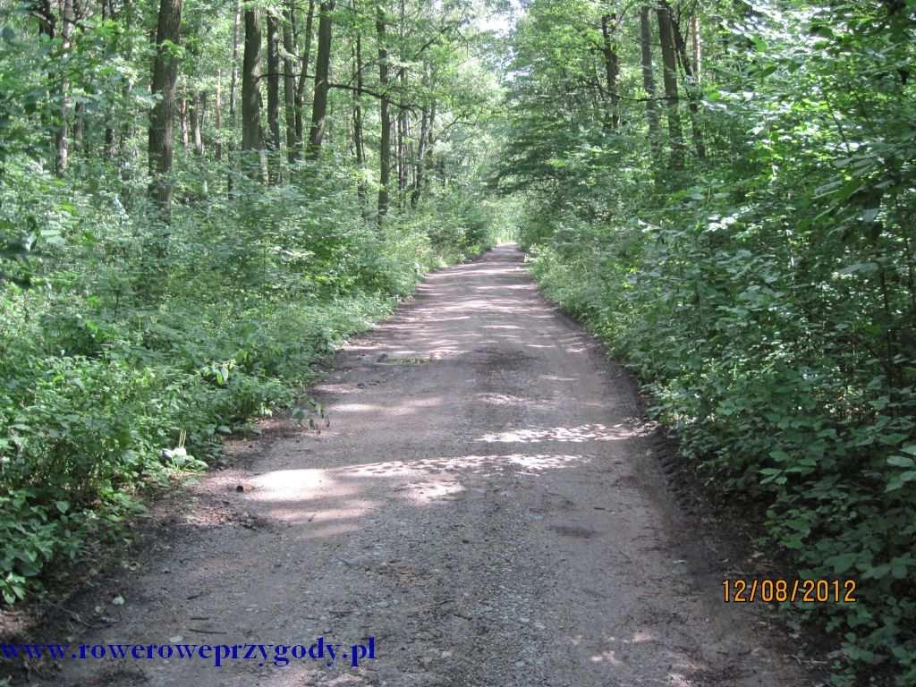 Poniżej przedstawiam link do strony, gdzie można zobaczyć kilka ciekawych fotek dworku i otaczającego go parku krajobrazowego: http://www.polinow.