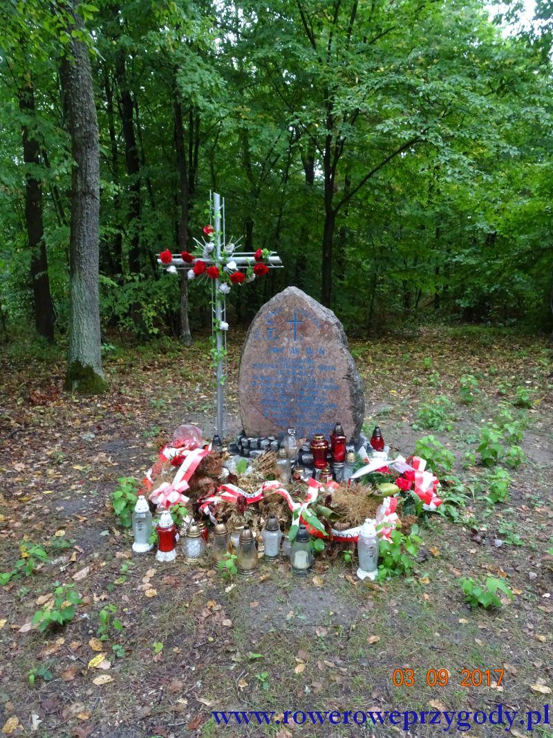Widoki z pewnością wynagrodzą nam niedogodności poruszania się rowerem, gdyż w niektórych momentach jej zapiaszczenie powoduje, że trzeba zjeżdżać i jechać jej skrajem.