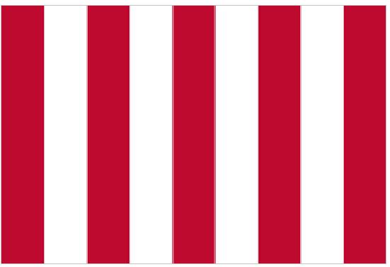 Stamp Act Flag, zwana też Rebellious Stipes. Źródło: Wikimedia Commons/Public Domain, z dn. 14.09.2016. Flaga była używana przez Synów Wolności do roku 1773, czyli do bostońskiego picia herbaty.