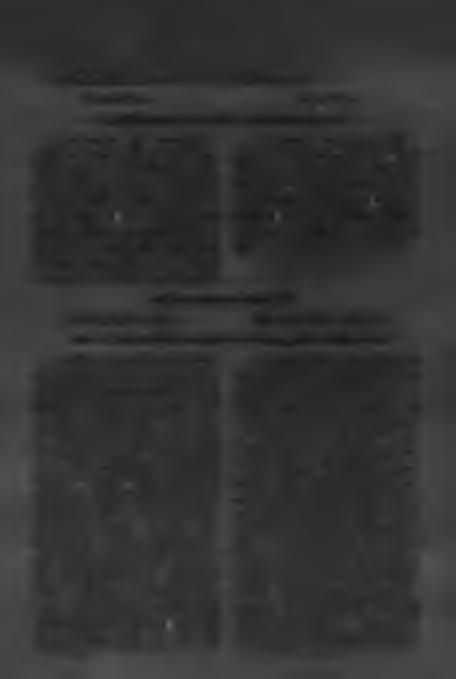 Monarchae Dominoq