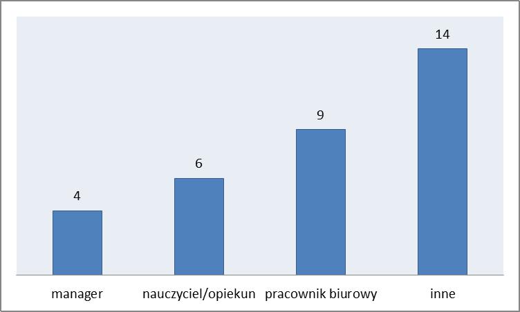 3.3. Miejsce pracy podczas studiów