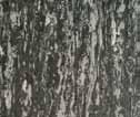 Linen Stainless