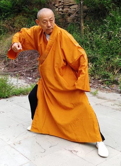Shi Su Gang si fu prezentujący ruch
