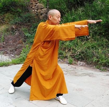 Fot. 9 Fot. 6 9. Shi Su Gang si fu prezentujący ruchy imitujące zachowanie tygrysa w systemie qigong Wu Qin Xi (fot.