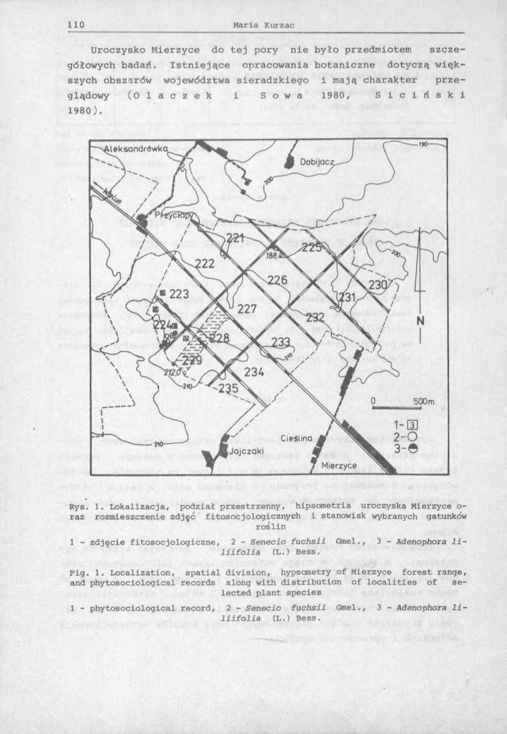 Uroczysko Mierzyce do tej pory nie było przedmiotem szczegółowych badań.