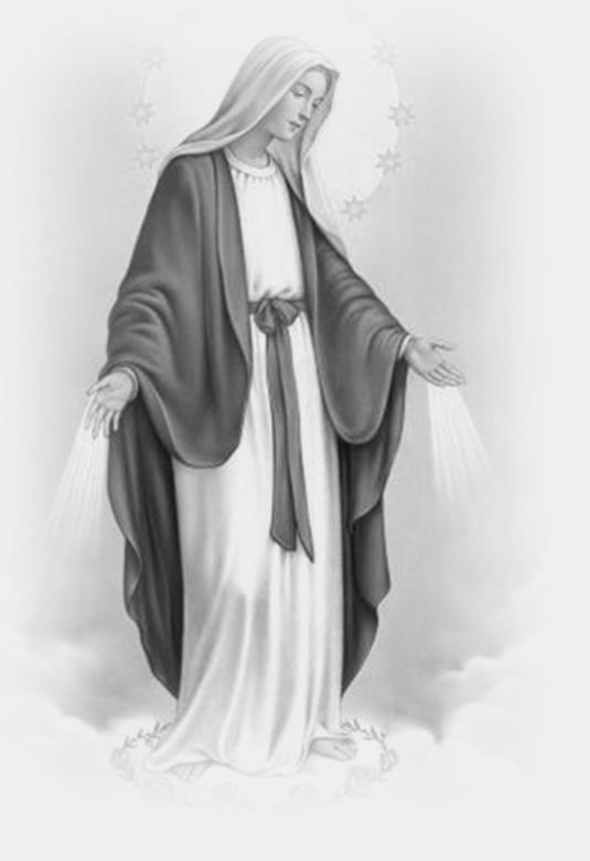 Albert s Monday, December 7 7:00 pm Pro Life Tuesday, December 8 7:00 pm CCD Wednesday, December 9 8:10 am Morning Prayer of the Church 10:00 am Bible Study 5:45 pm SVD 7:00 pm CCD Thursday, December