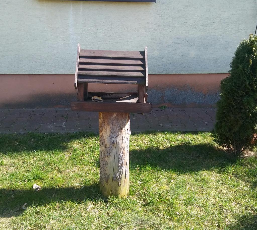 Głos Wielkopolski Numer 8 04/2017 Strona 8 wwwgloswielkopolskipl WIOSNA Wiosna astronomiczna rozpoczyna się w momencie równonocy wiosennej i trwa do momentu przesilenia letniego, co w przybliżeniu