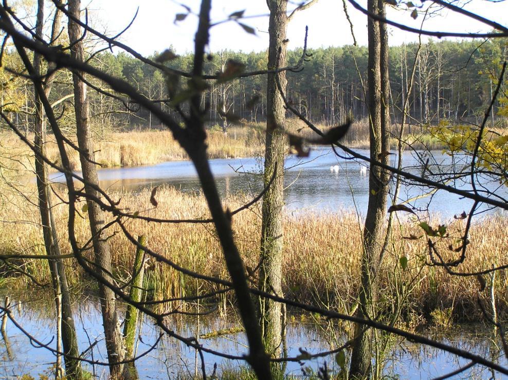 ZAŁĄCZNIK 8.