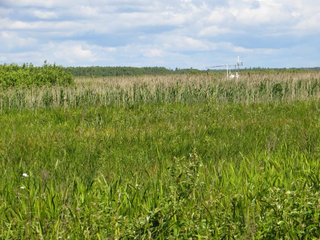 Atlas parametrów meteorologicznych na stacji pomiarowej w Kopytkowie (Biebrzański Park Narodowy) w