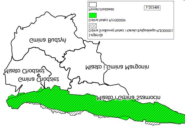 wzniesień czołowo morenowych z kulminacją Gontyńca. Większość lasów ochronnych występujących na obszarze gminy Chodzież znajduje się w granicach Nadleśnictwa Podanin.
