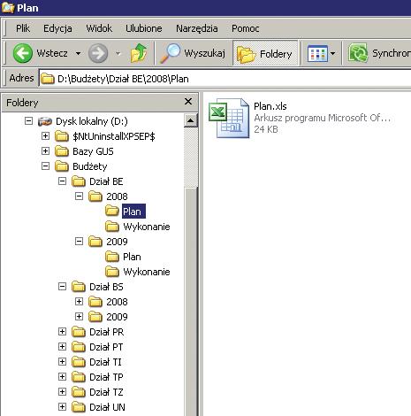 Wewnątrz każdego folderu oznaczonego rokiem utwórz 2 foldery o nazwach: Plan oraz Wykonanie i do każdego z tych folderów przenieś skoroszyty odpowiednio z planem i wykonaniem budżetu.